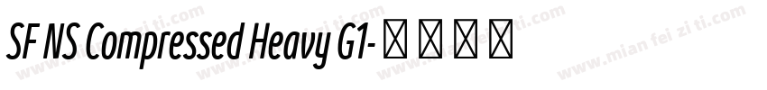SF NS Compressed Heavy G1字体转换